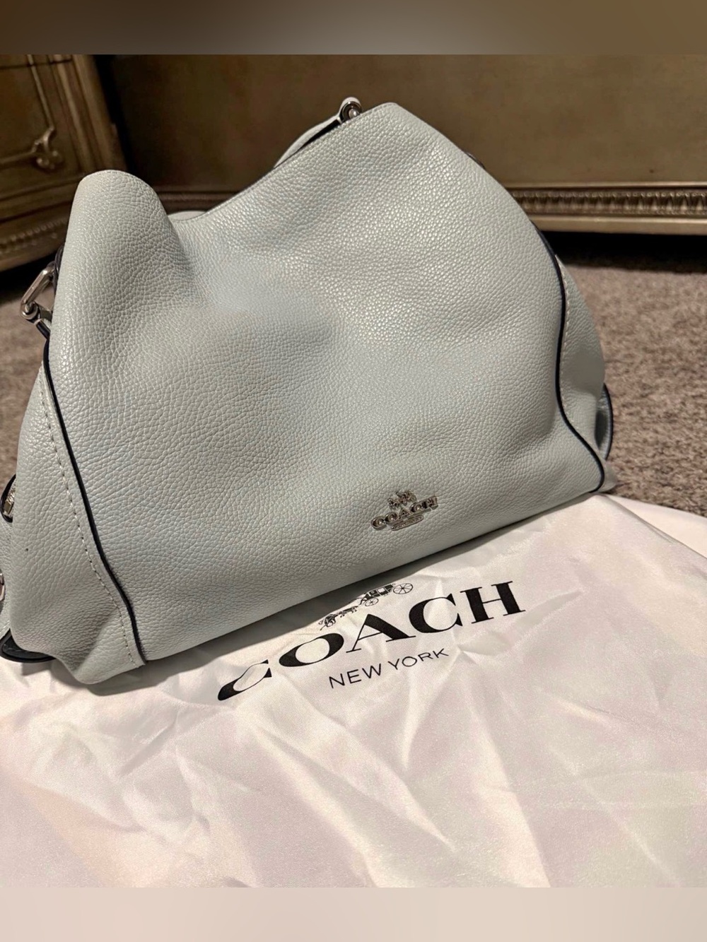 Coach Pebbled Leather Hobo Bag in Pale Blue